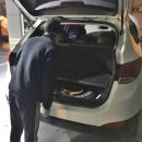 무안카경정비 이미지