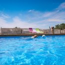 솔푸른향기애견 이미지