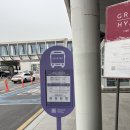 거북이 엔터테이먼트 | 근처 영종도 호텔 리조트 추천 인스파이어 호텔 수영장 오로라쇼 홍반 북경오리 셔틀시간 내돈내산 후기