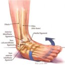 더바른교정운동센터 이미지