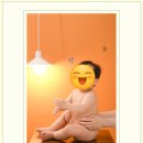 애니위드 | 위드 컷 후기: 애니 스튜디오 안양 본점