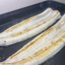 양어장상회 이미지