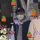 쁘띠쁘띠 이미지