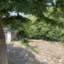 솔까치펜션 | 양평 수영장과 계곡이 있는 가족단위 펜션 솔까치 펜션 장미방 후기 / 양평 화장실 두 개 개인 바베큐 펜션