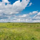 마키아벨리<군주론> 이미지