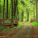 산림기능사 국가기술자격증 이미지