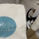 홍짜장군포삼성 이미지