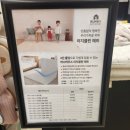 홀라 | 양주 옥정 베이비하우스 홀라 4in1 아기체육관 선물 받은 후기