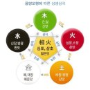 오행생식 - 동구 | 오행생식