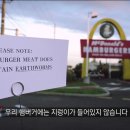 빨간코끼리 이미지