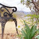 바람꽃뜰 이미지