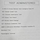 종합밧데리 | 성인 풀배터리 검사(종합심리 검사) 받은 후기