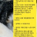 신자;꽃