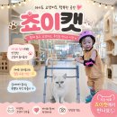 캣에어 | 고양이 카페,에어 바운스,인라인 스케이트 [쵸이캣]
