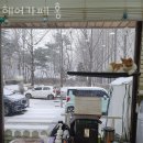 헤어카페홍