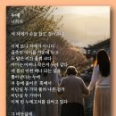 누에 - 나희덕 이미지