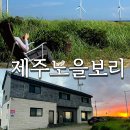 제주노을보리 이미지