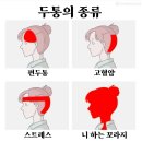 쟁진모리 일상 4나번째