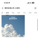 베어포레스트 스테이 이미지