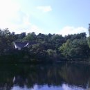 사랑반점 이미지