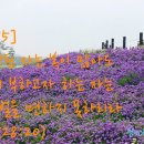 목원상사