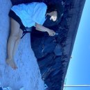 꽃피는민박 이미지