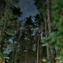 별빛야영장 이미지