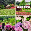 용인문화유적전시관 | 경기도 용인 가볼만한곳 농촌테마파크 수목원 산책 후기