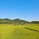 죽동1리마을회관 이미지