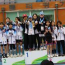 안동롤러경기장 이미지