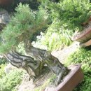 죽동농장 이미지