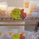 봄날처럼민박 | [온더기와 공주 브런치카페 동학사카페]