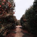 (주)제주백록담 이미지