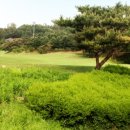 자유CC