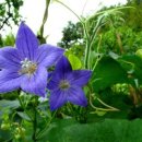 마음이머무는곳 이미지