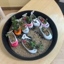 대산초등학교병설유치원 이미지