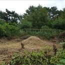 진전면100 이미지