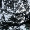 월령경로당 이미지