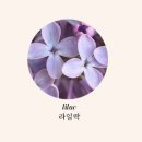 (주)블루지앤씨 | [대니멕켄지] 라일락 Dani Mackenzie Lilac 향수 시향, 착향 후기