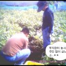 천평농장 이미지