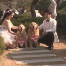 동물농장 이미지