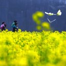 아름다운 동행 이미지