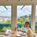 비눔(Vinum) 이미지