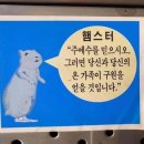 크크 네이버블로그