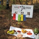 도시속의자연산약초건강원