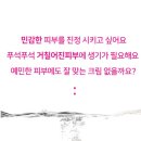 제이세나