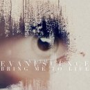 Evanescence (에반에센스) Bring Me To Life (Rework) 이미지