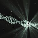 경희축산 이미지