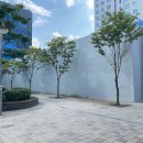 와이제이프라자 이미지