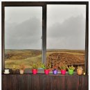 정든목장 이미지